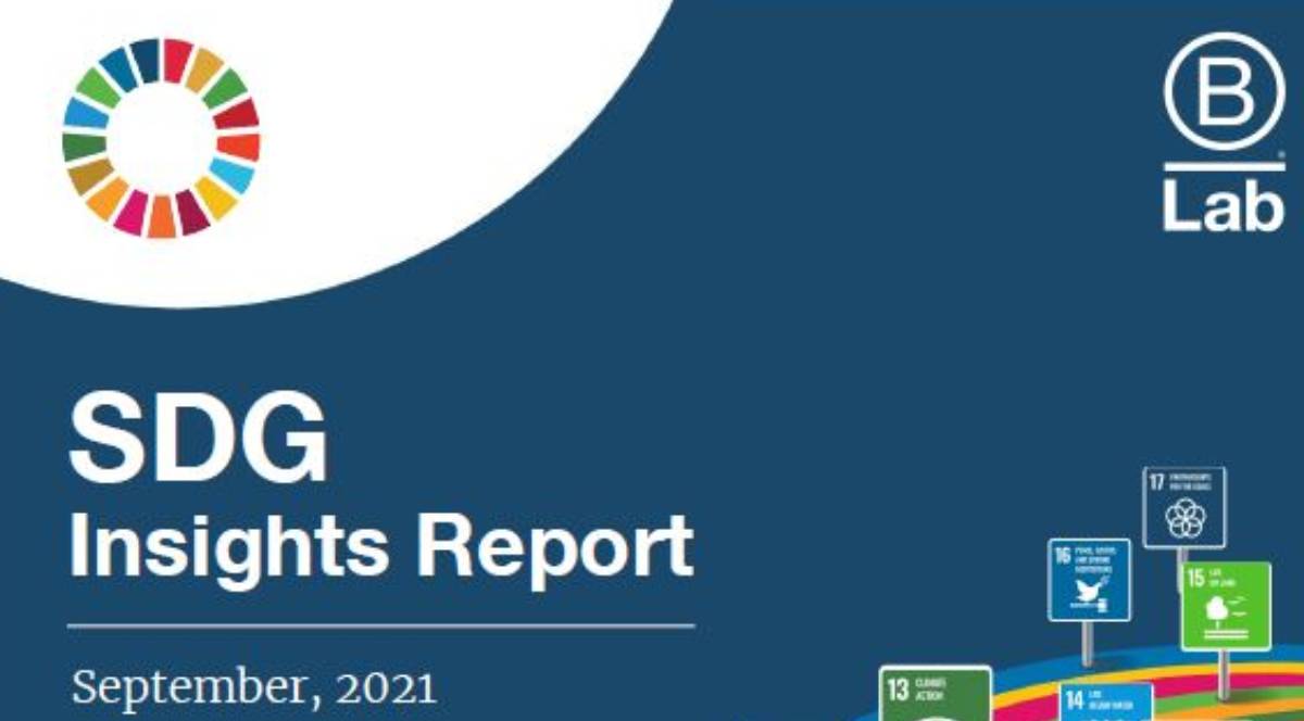 SDG Insights Report 2021