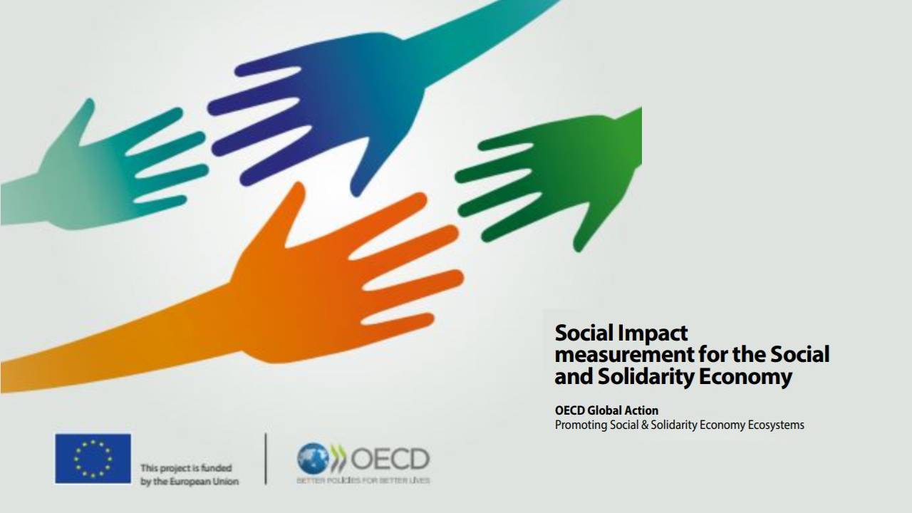 Social Impact measurement for the Social and Solidarity Economy