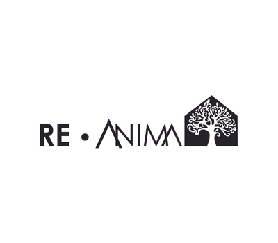 Re-Anima