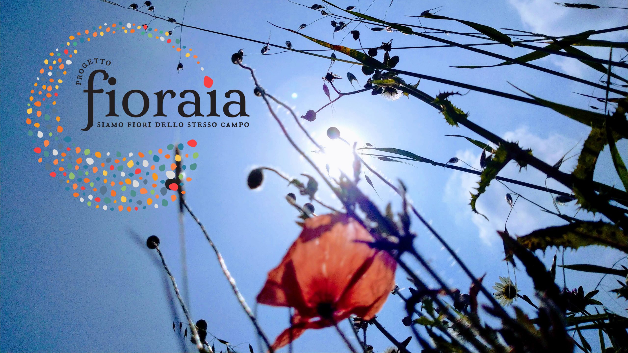Progetto Fioraia – preservare la biodiversità dei paesaggi piemontesi