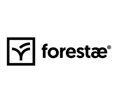 Forestae