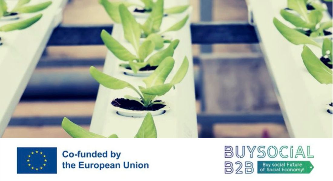 Report buone pratiche BUYSOCIAL-B2B